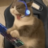 ViCX